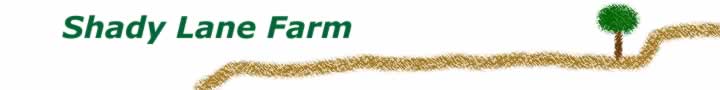 Shady Lane Banner